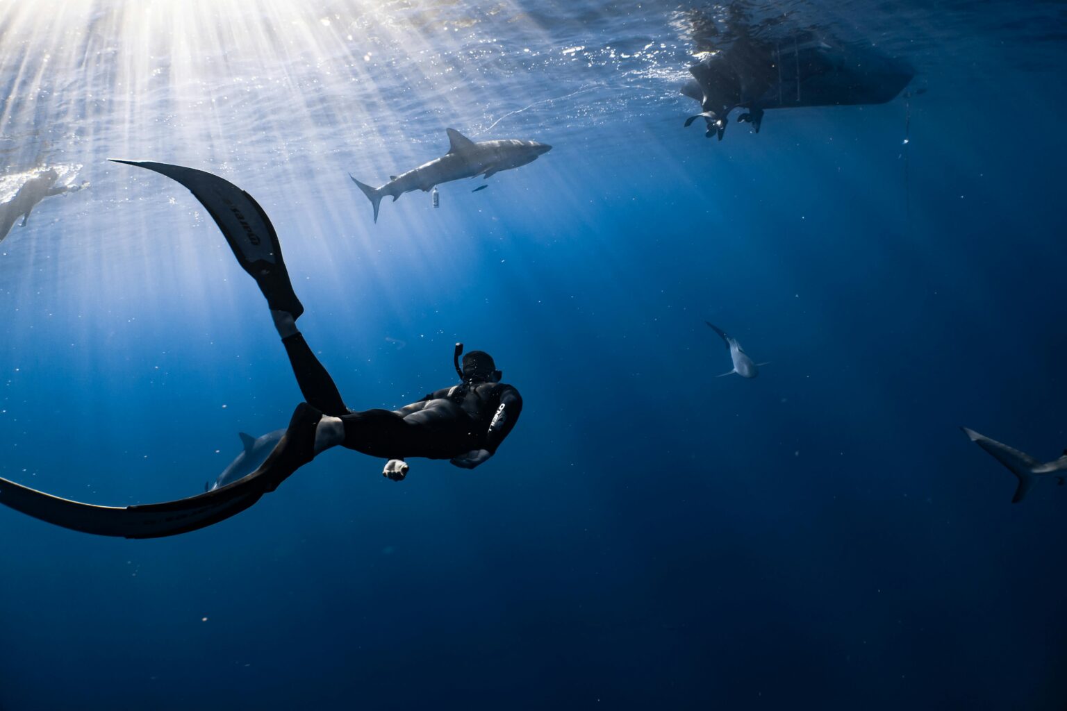 How to become an oceanographer