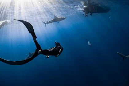 How to become an oceanographer