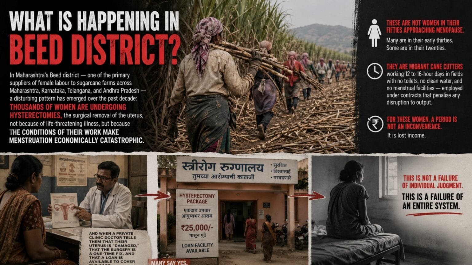 A female migrant worker cuts sugarcane at dawn. Thousands of women in maharashtra are removing their uteruses before harvest season to avoid losing wages during menstruation.