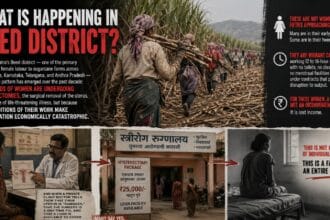 A female migrant worker cuts sugarcane at dawn. Thousands of women in maharashtra are removing their uteruses before harvest season to avoid losing wages during menstruation.