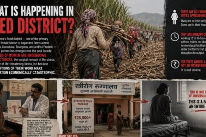 A female migrant worker cuts sugarcane at dawn. Thousands of women in maharashtra are removing their uteruses before harvest season to avoid losing wages during menstruation.